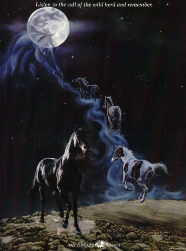 No More Nightmares Horses Moon Art Print Thick Cardstock Poster
