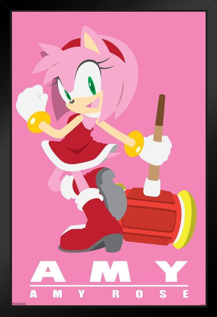 ポスター amy Sonic the Hedgehog Amy Rose Sega Video Game Gaming Black Wood
