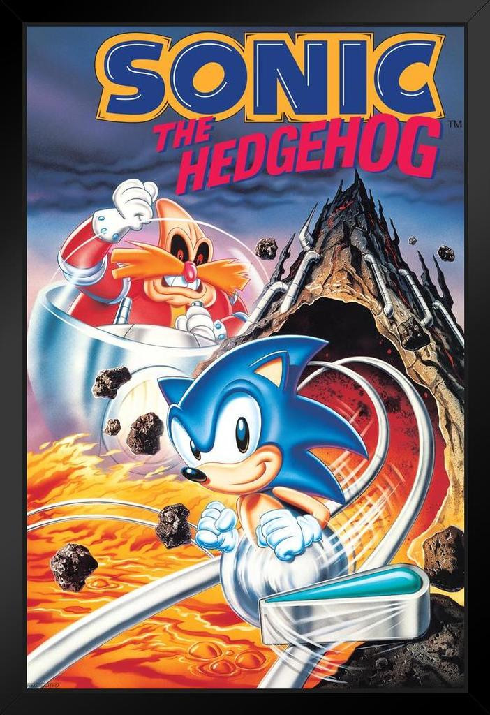 Sonic the Hedgehog Pinball Sega Video Game Gaming Black Wood