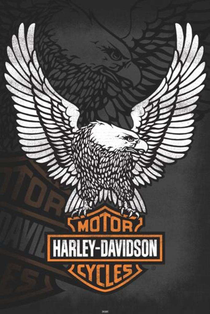 Harley Davidson Eagle Cool Wall Decor Art Print Poster 24x36