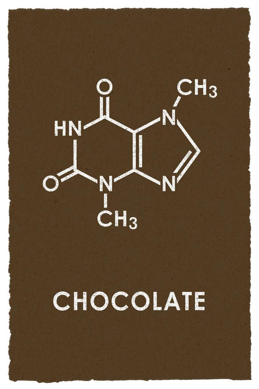 Chocolate Theobromine Molecule Science Brown Funny Cool Huge Large Giant  Poster Art 36x54 - Poster Foundry