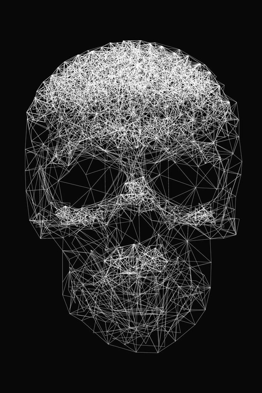 Laminated Skull Anatomy Line Art Spooky Scary Halloween Poster Dry Erase Sign - Poster Foundry