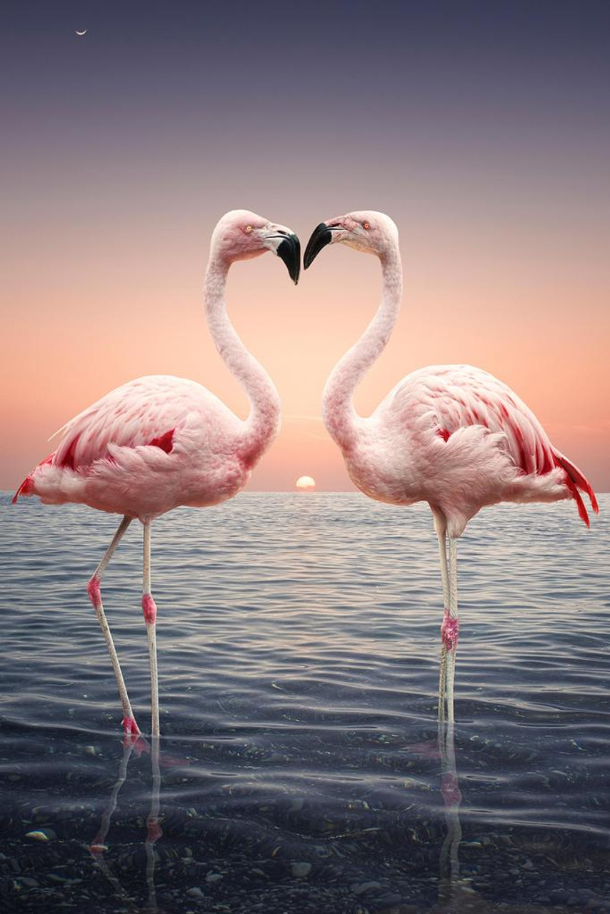 Pink Flamingoes Standing Face to Face Love Flamingo Prints