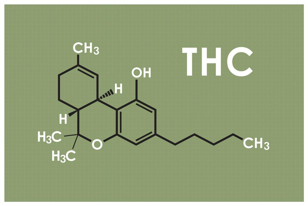 5 Maine-Made THC- and CBD-Infused Beverages