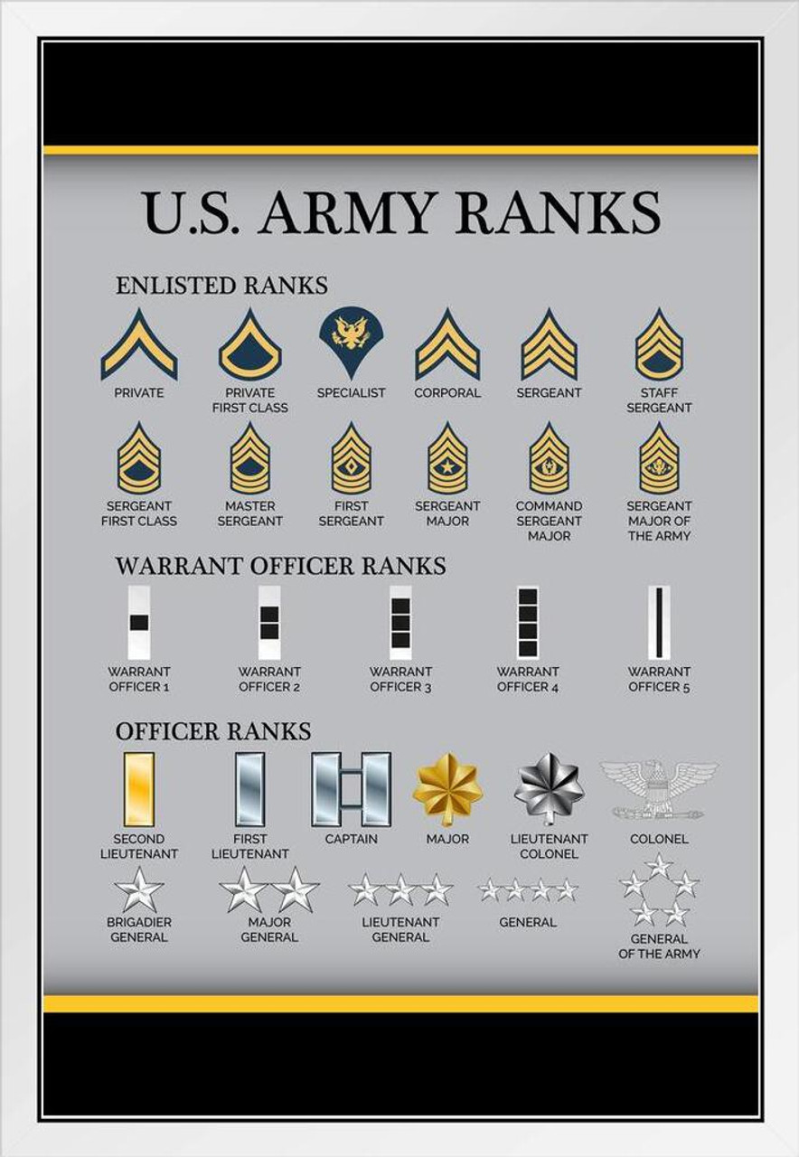 military rank structure printable