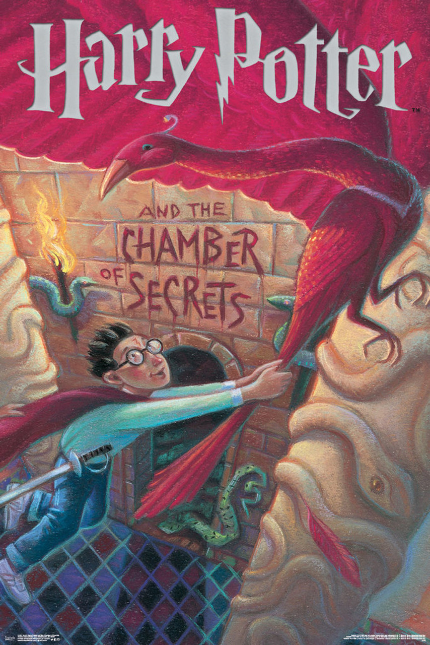 Harry Potter - Chamber Of Secrets Framed poster