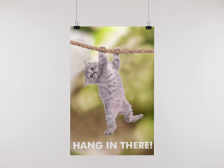 Hang In There Hanging Cat Poster Kitten Kitty Modern Wall Decor Picture ...