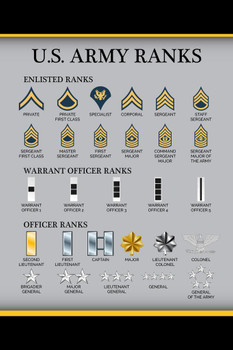 Laminated United States Army Rank Chart Reference Enlisted Officer NCO Guide American Military Uniform Support Troops Soldier Veterans Man Cave Poster Dry Erase Sign 24x36