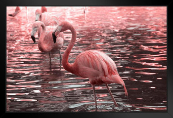 Pink Flamingoes Standing Face to Face Love Flamingo Prints Flamingo Wall  Decor Beach Theme Bathroom Decor Wildlife Print Pink Flamingo Bird Exotic