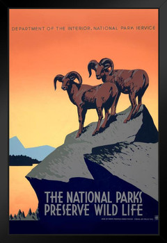 National Parks Preserve Wild Life Retro Vintage WPA Art Project Art Print Stand or Hang Wood Frame Display Poster Print 9x13