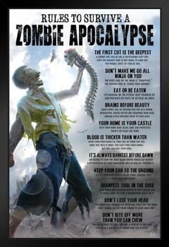 Rules To Survive A Zombie Apocalypse Horror Spooky Scary Halloween Decoration Stand or Hang Wood Frame Display 9x13