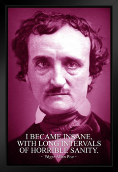 Edgar Allan Poe I Became Insane Purple Famous Motivational Inspirational Quote Art Print Stand or Hang Wood Frame Display Poster Print 9x13