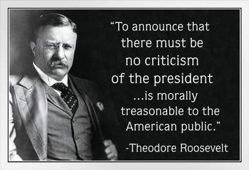 Theodore Roosevelt Criticism of the President Famous Motivational Inspirational Quote White Wood Framed Poster 14x20