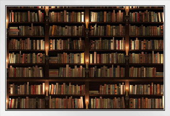 Old Books Two Storied Bookshelf Library White Wood Framed Poster 20x14