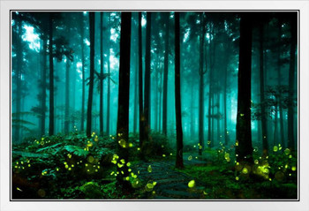 Fireflies Glowing Summer Forest At Night Landscape Photo Firefly Poster Insect Wall Art Glowing Posters Forest Poster Cool Poster Aesthetic Insect Art White Wood Framed Art Poster 20x14