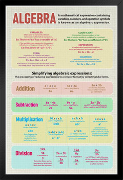 Algebra Mathematics Educational Classroom Variables Expressions Definitions Equations Teacher Learning Homeschool Chart Display Supplies Teaching Aide White Wood Framed Art Poster 14x20