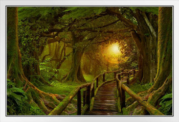 Sunset Deep Tropical Jungle Footpath Bridge Landscape Photo Photograph White Wood Framed Poster 20x14