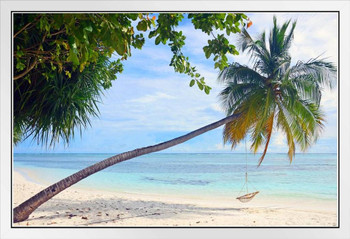 Paradise Tropical Beach Leaning Palm Tree Hammock Rope Swing Overlooking Ocean Photo White Wood Framed Poster 20x14