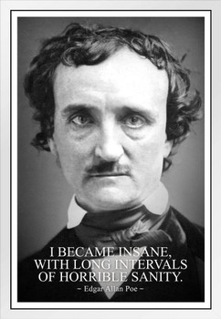 I Became Insane With Intervals of Horrible Sanity Edgar Allan Poe White Wood Framed Poster 14x20