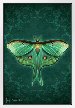 Damask Luna Moth by Brigid Ashwood Butterfly Decor Insect Wall Art Moths Butterflies Illustration White Wood Framed Art Poster 14x20