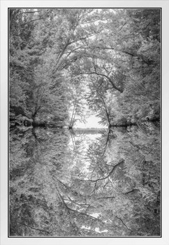 Reflection of Tree Branches in River Photo Poster Black White Photograph Nature Water Branches Hanging Landscape White Wood Framed Art Poster 14x20