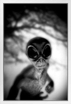 Alien Face Creepy Scary Face Black White Photo UFO Fantasy Spooky Scary Halloween Decorations White Wood Framed Art Poster 14x20