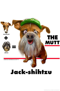 Jack Shihtzu The Mutt Funny Hybrid Dog Posters For Wall Funny Dog Wall Art Dog Wall Decor Dog Posters For Kids Bedroom Animal Wall Poster Cute Animal Posters Thick Paper Sign Print Picture 8x12