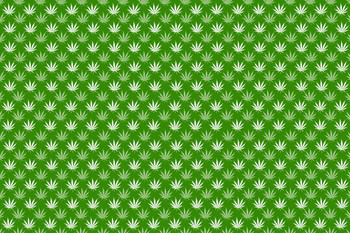 Marijuana Weed Pattern Dark Leaves Pot Cannabis Joint Green Thick Paper Sign Print Picture 8x12