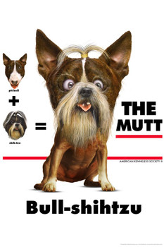 Bullshihtzu The Mutt Dog Funny Hybrid Dog Posters For Wall Funny Dog Wall Art Dog Wall Decor Dog Posters For Kids Bedroom Animal Wall Poster Cute Animal Posters Thick Paper Sign Print Picture 8x12