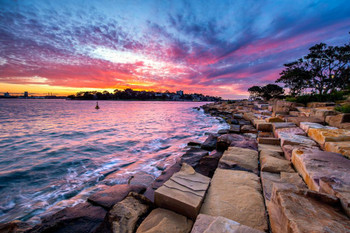 Barangaroo Reserve Park Sydney New South Wales Australia Photo Photograph Thick Paper Sign Print Picture 12x8