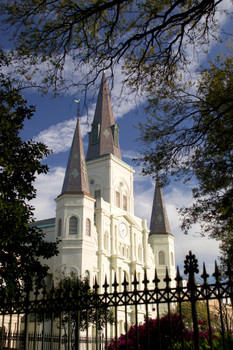 Saint Louis Cathedral Through The Trees Photo Photograph Cool Wall Decor Art Print Poster 12x18