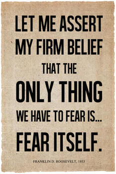 President Franklin D. Roosevelt Fear Itself Famous Motivational Inspirational Quote News Thick Paper Sign Print Picture 8x12
