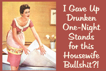 I Gave Up Drunken One Night Stands For This Housewife Bullsht Humor Thick Paper Sign Print Picture 12x8