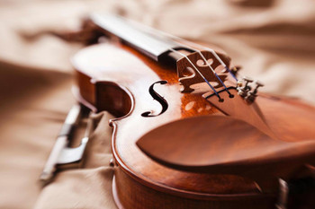 Close Up of Beautiful Violin Photo Photograph Thick Paper Sign Print Picture 12x8