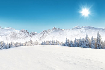 Laminated Winter Alpine Mountain Snowy Landscape Sunny Day Skiing Sports Nature Landscape Photo Poster Dry Erase Wall Art 24x36