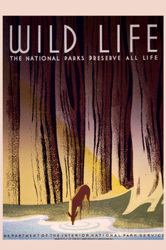 Laminated National Parks Wild Life Nature Retro Vintage WPA Art Project Poster Dry Erase Sign 24x36