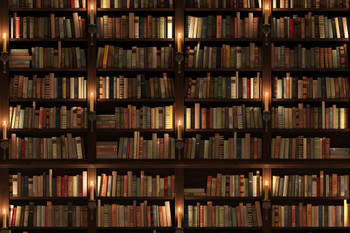 Laminated Old Books Two Storied Bookshelf Library Poster Dry Erase Wall Art 36x24