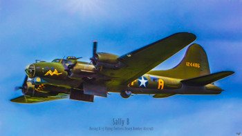 Sally B Paintography by Chris Lord Photo Photograph Cool Wall Decor Art Print Poster 12x18