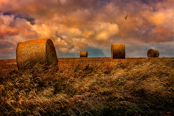 Hay Field by Chris Lord Photo Photograph Cool Wall Decor Art Print Poster 12x18