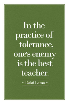 Laminated Dalai Lama In The Practice Of Tolerance Ones Enemy Is The Best Teacher Motivational Poster Dry Erase Sign 24x36