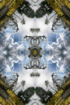 Laminated Kaleidoscopic Image of Forest with Damaged Tree Art Print Poster Dry Erase Wall Art 24x36