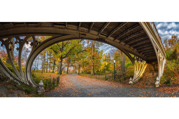 Laminated A Gothic Bridge in Central Park New York City NYC Photo Photograph Poster Dry Erase Wall Art 36x24
