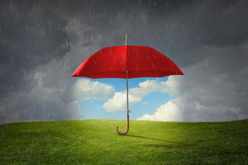 Laminated Red Umbrella Protecting Grass From Rain Photo Photograph Poster Dry Erase Wall Art 36x24