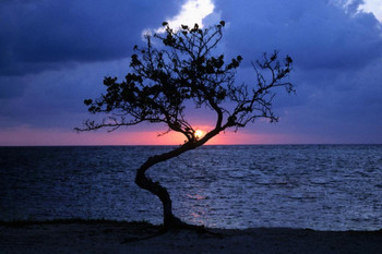 Laminated Sunset Over the Sea Blackbeards Caye Belize Photo Photograph Poster Dry Erase Sign 36x24