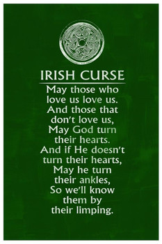 Laminated Irish Curse Life Love God Poem Motivational Quote Poster Dry Erase Sign 24x36