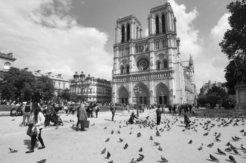 Laminated Tourists Outside Notre Dame Cathedral in Paris Photo Photograph Poster Dry Erase Wall Art 36x24