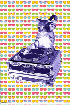 Laminated Steez DJ Cat Poster Dry Erase Sign 24x36