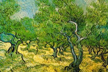 Laminated Vincent Van Gogh Olive Orchard Van Gogh Wall Art Impressionist Painting Style Nature Spring Flower Wall Decor Landscape Vase Bouquet Poster Romantic Artwork Poster Dry Erase Sign 36x24
