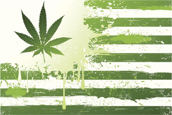 Laminated Marijuana States of America Flag Art Print Cool Wall Art Poster Dry Erase Sign 24x36