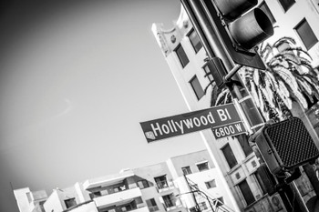 Laminated Hollywood Boulevard Black and White B&W Photo Art Print Poster Dry Erase Sign 36x24